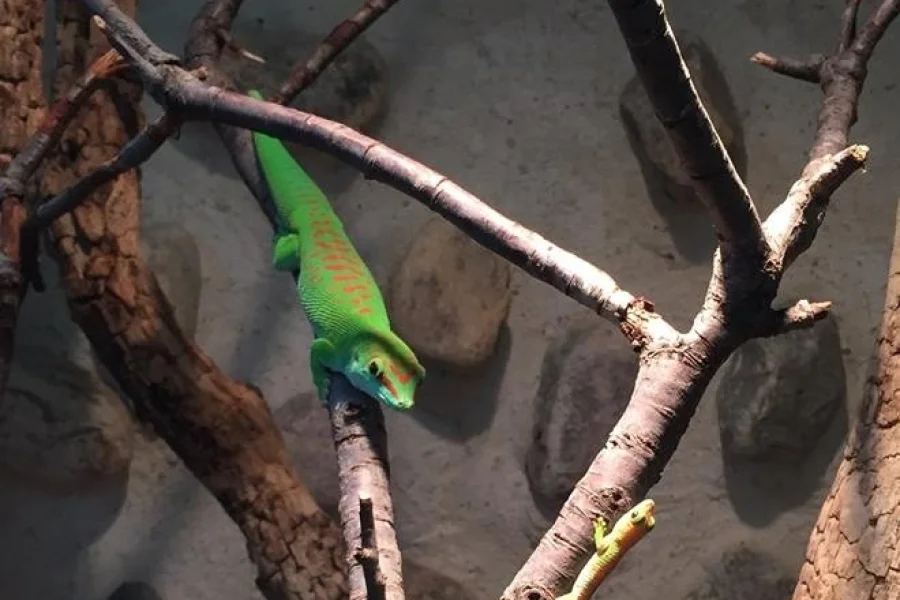 Malmö ReptilCenter
