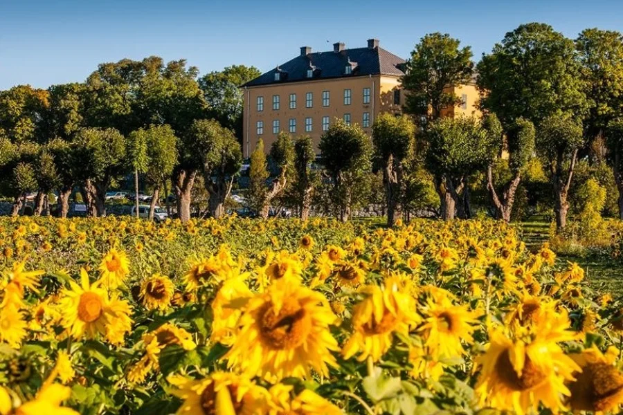 Wenngarns Slott