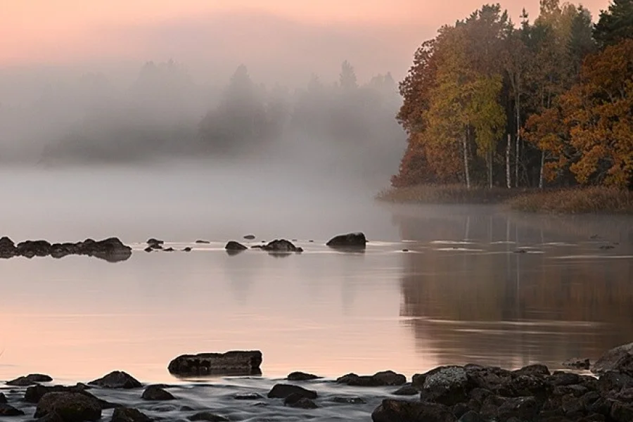 Färnebofjärdens Nationalpark