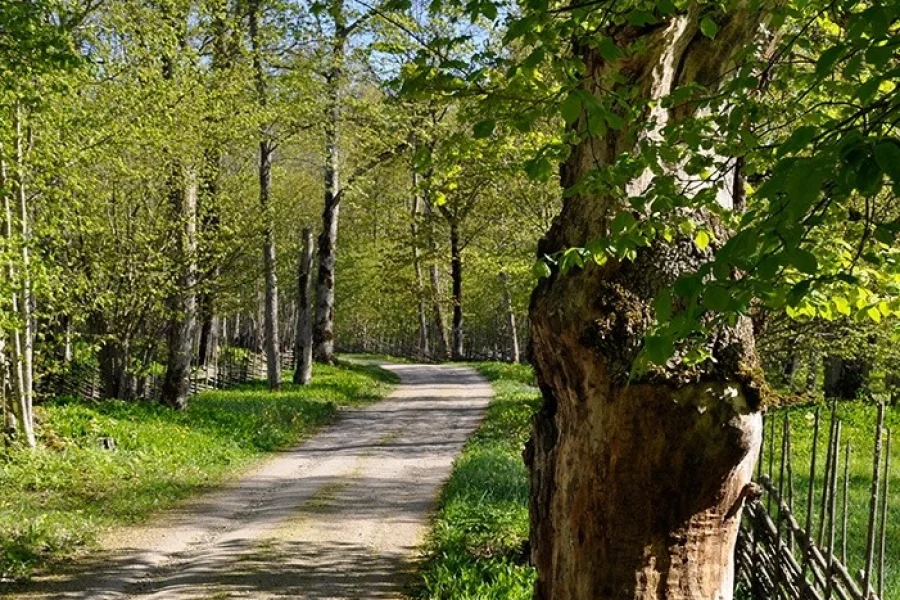 Garphyttans Nationalpark