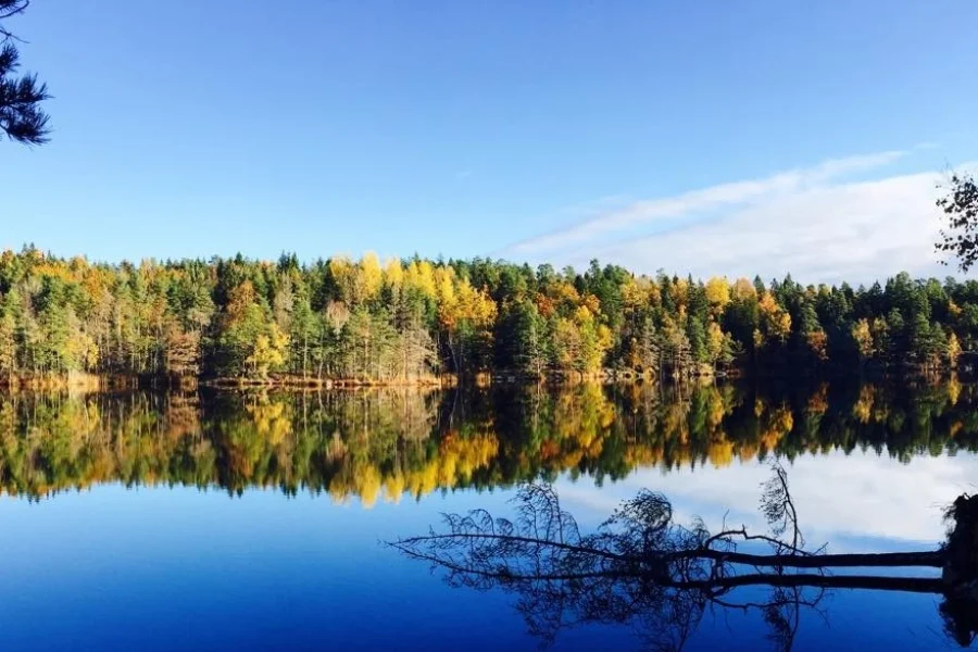 Tyresta Nationalpark