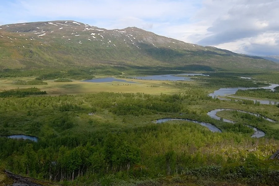 Vadvetjåkka Nationalpark