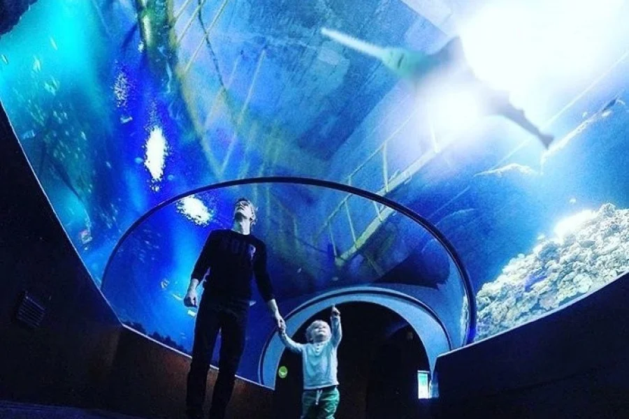 Universeum