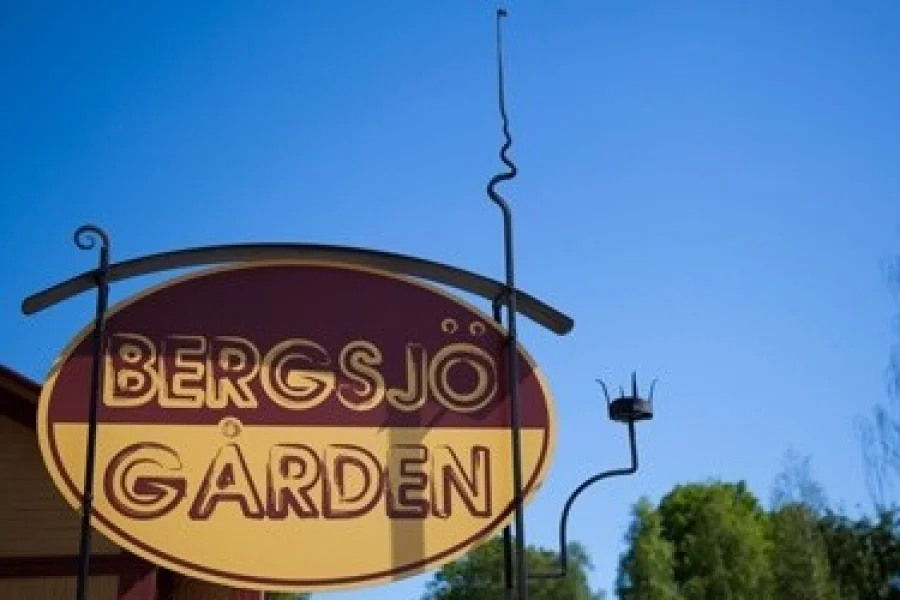 Bergsjö Bio