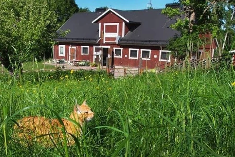 Eolshälls 4H-Gård