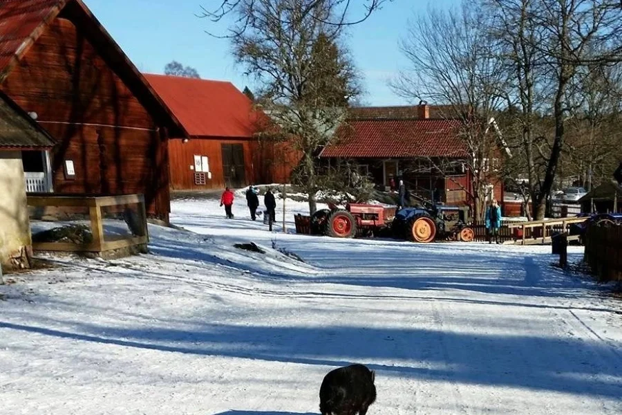 Färsna 4H-Gård