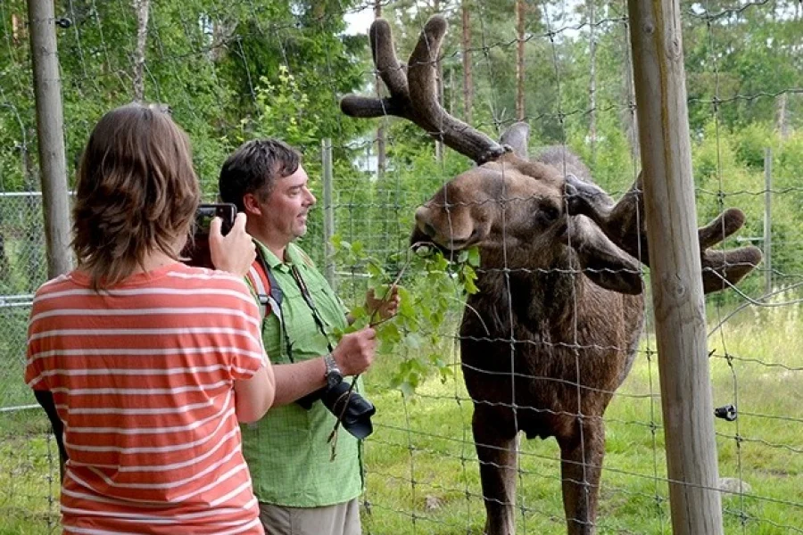 Grönåsen Älg- och lantdjurspark