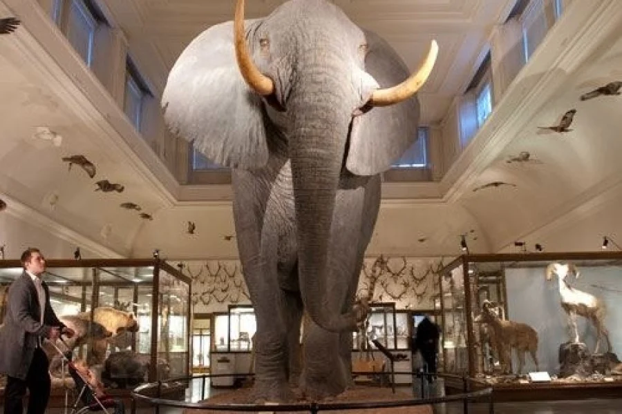 Göteborgs Naturhistoriska Museum