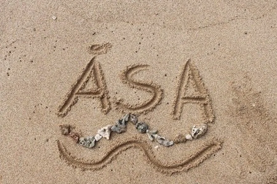 Åsa Camping & Havsbad