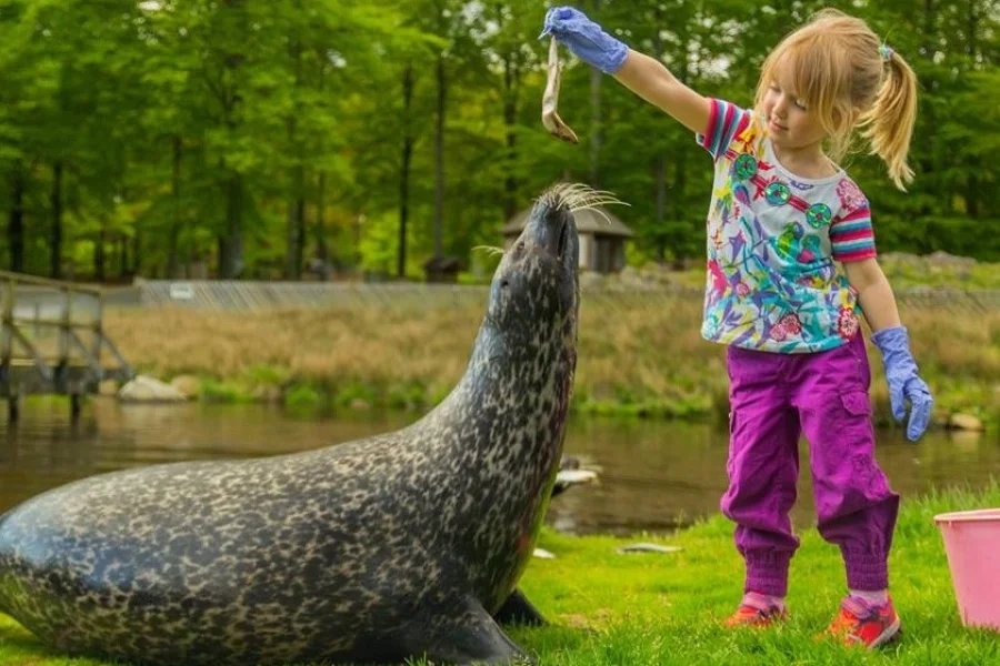 Skånes Djurpark