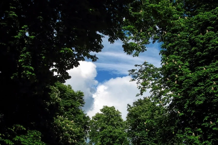Hummelparken