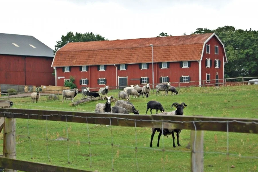 Skälby 4H-Gård