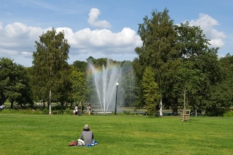 Slottsskogen