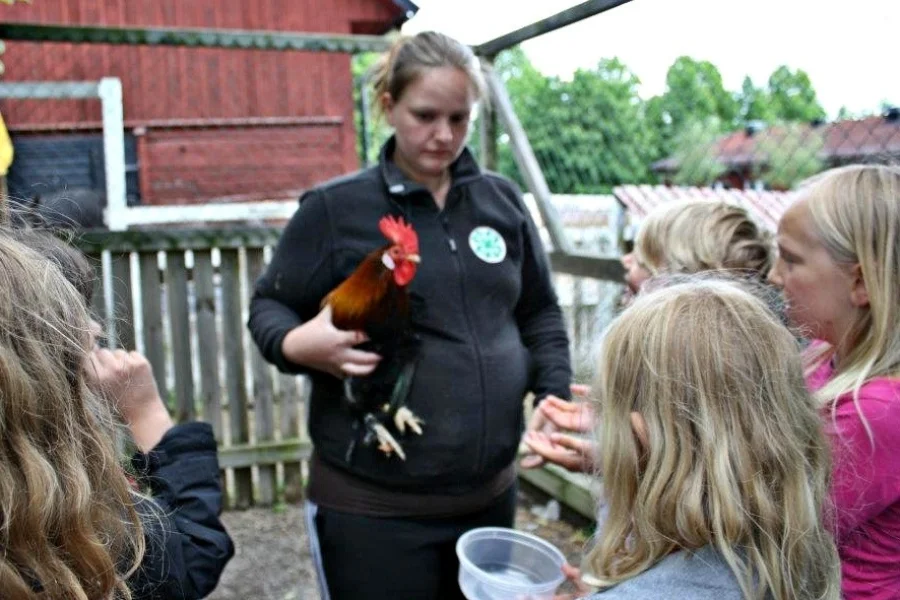 Riddersviks 4H-gård
