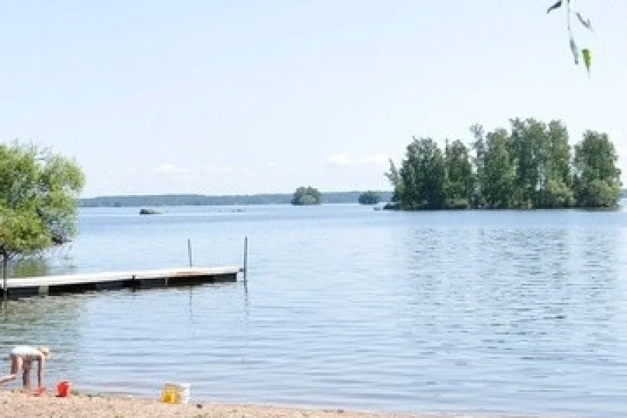 Lunger Bokärr
