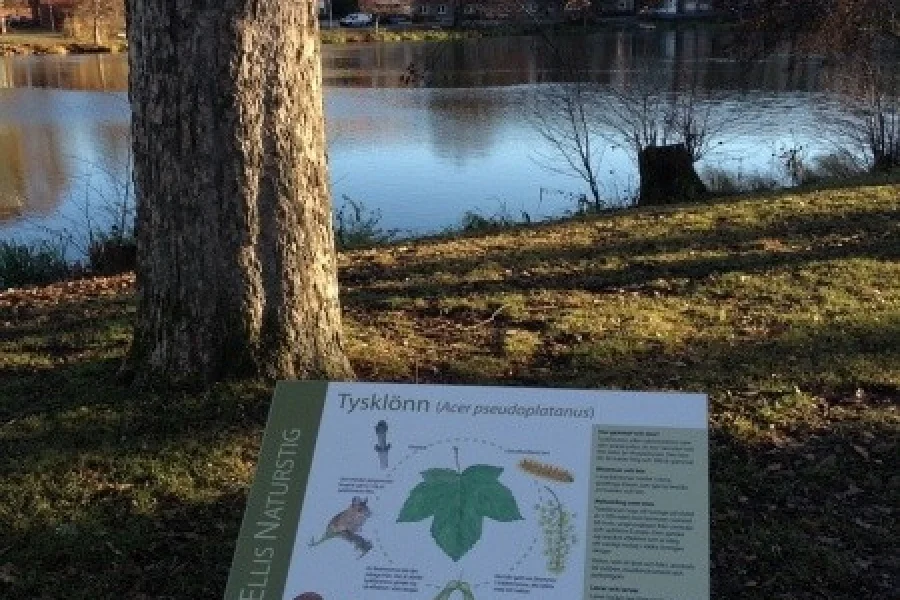 Ellis Naturstig