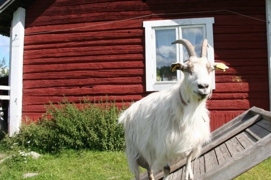 Vallentuna 4H-Gård