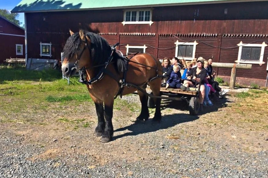 Vissmålens Ridklubb och 4H-gård