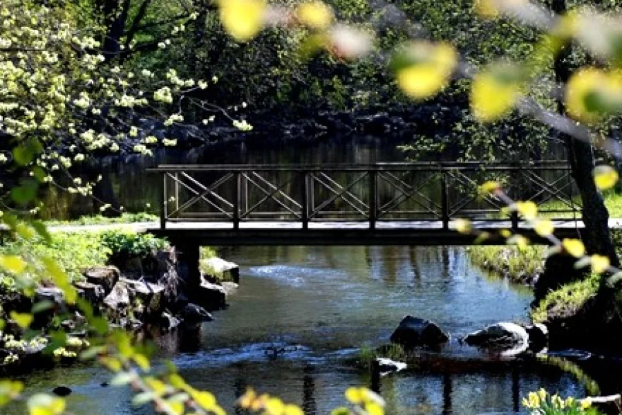 Stadsträdgården