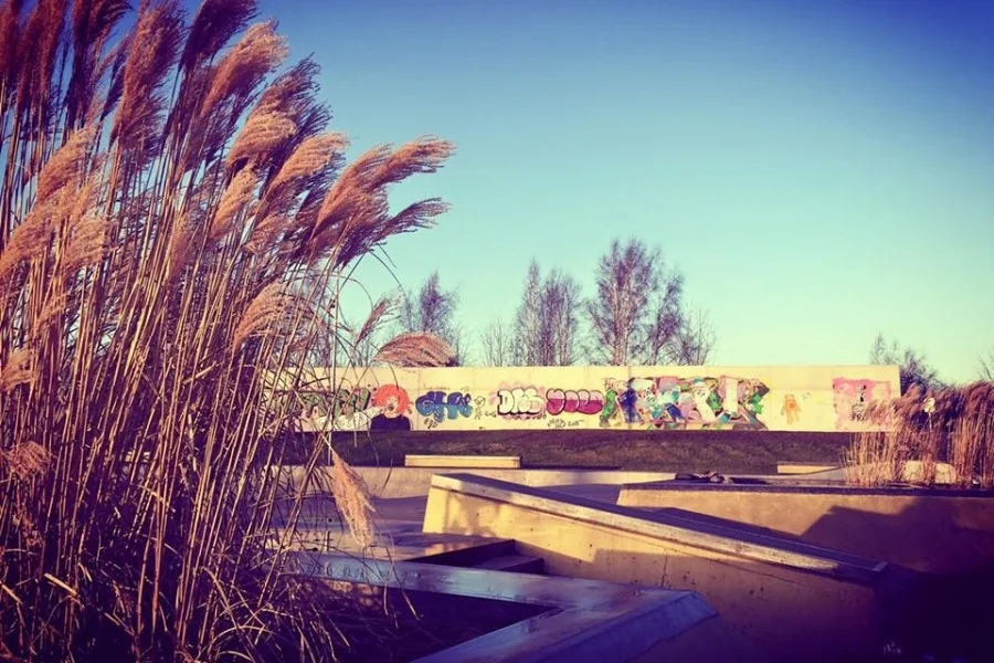 Halmstad Arena Skatepark