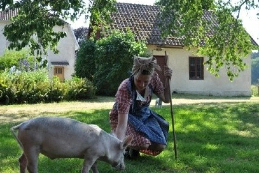 Kulturreservatet Norrbys museigård