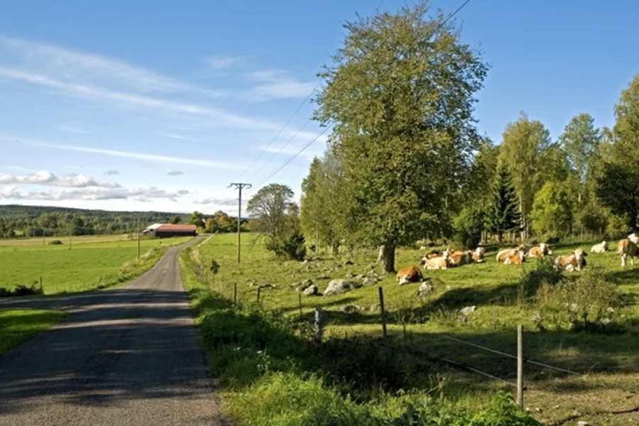 Husbyringen