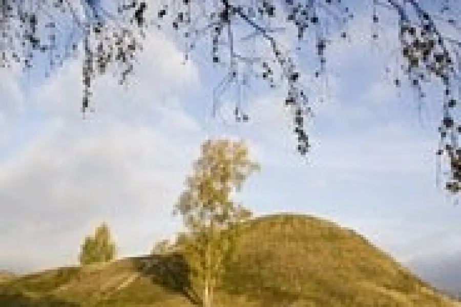 Ströbohög