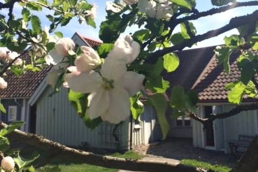 Hindströmsgården