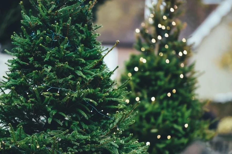 Fullspäckat program när Slottslängorna bjuder in till julmarknad