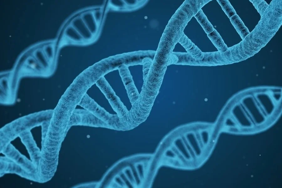 Spännande lov på Innovatum