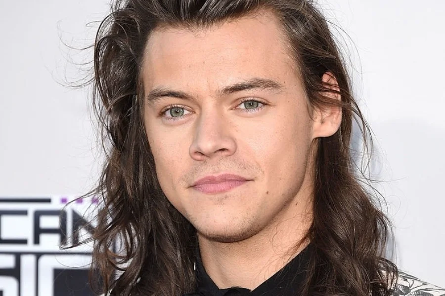 Mer Harry Styles nästa år!