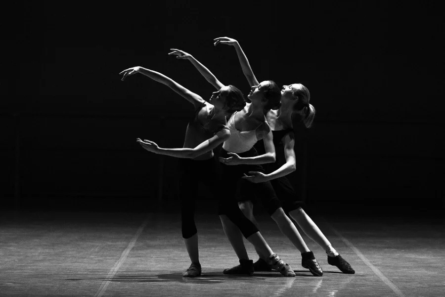 Palladium öppnar dörren under festivalen