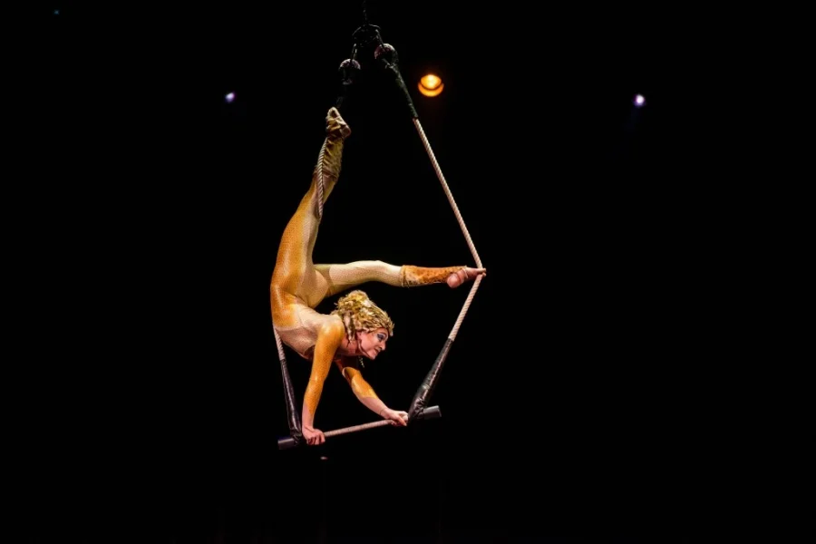 Sverigedags för förtrollande cirkusshow