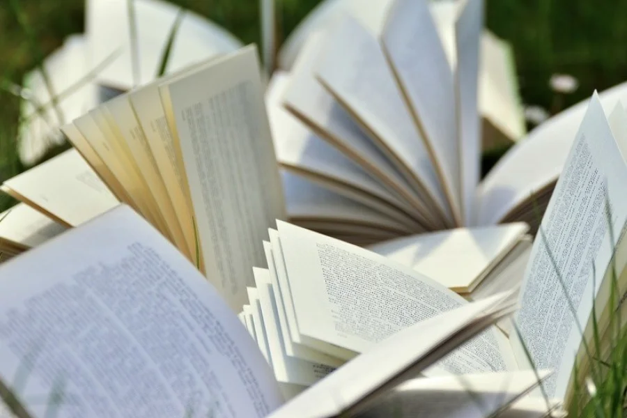Fler stjärnförfattare till Litteraturfestivalen