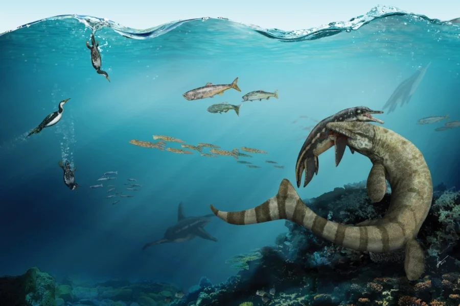 Dinosauriejakt och fossilsök på Geologins Dag