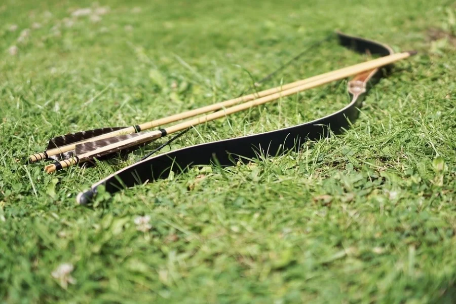 En lite annorlunda Robin Hood