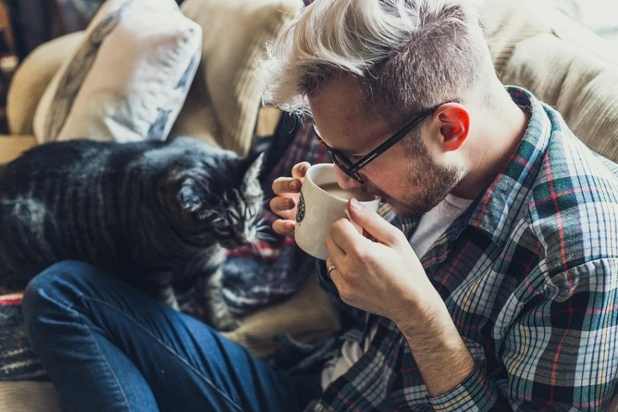 Nu öppnar Sveriges första kattcafé