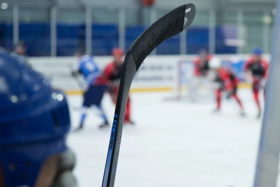 NHL åter på svensk is