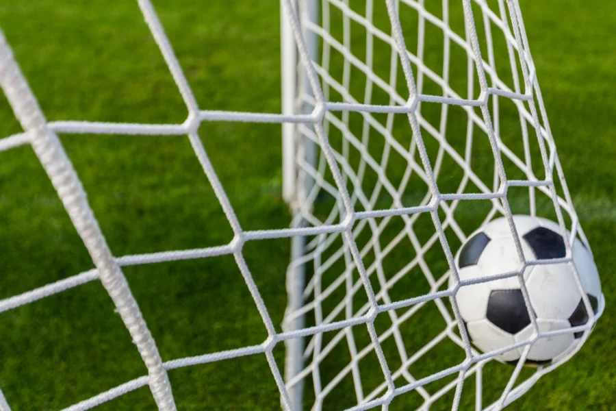 Folkets Park visar fotbolls-VM i sommar