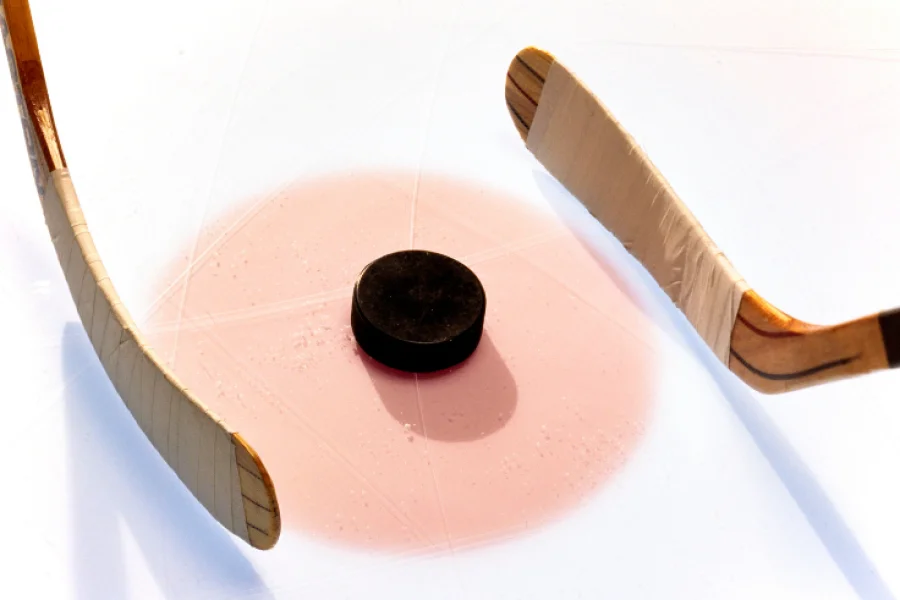 Lira hockey med elitspelare