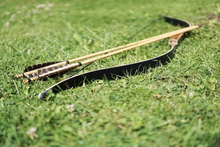 Robin Hood i Wadköping