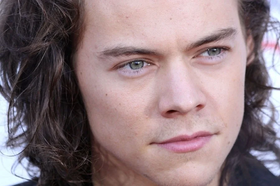Harry Styles på världsturné 2020