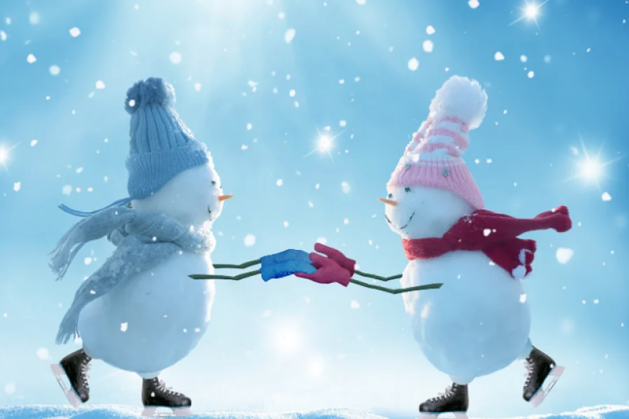 Snögubbar intar De Geerhallen