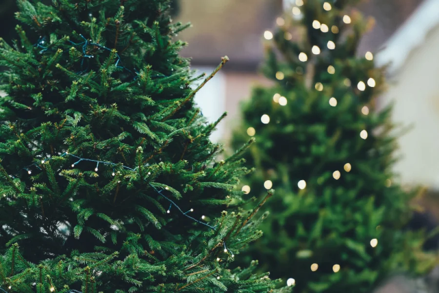 Fira tredje advent på Spikön