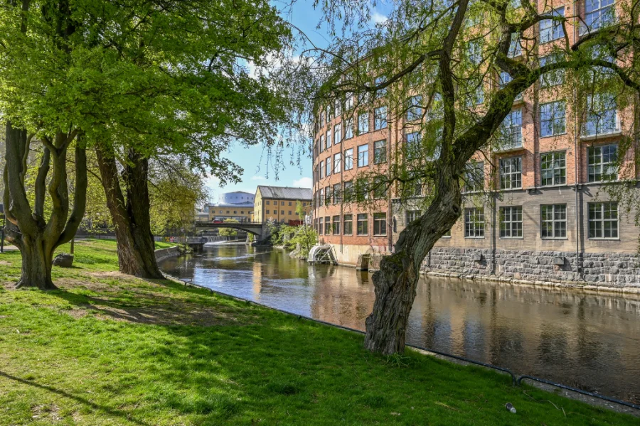 Ta del av en showfylld vår i Norrköping