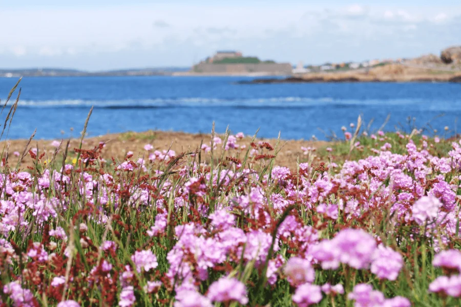 Möt en musikfylld sommar i Varberg