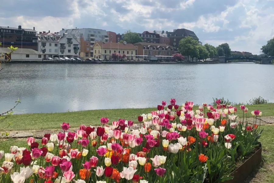Vårens evenemang i Trollhättan