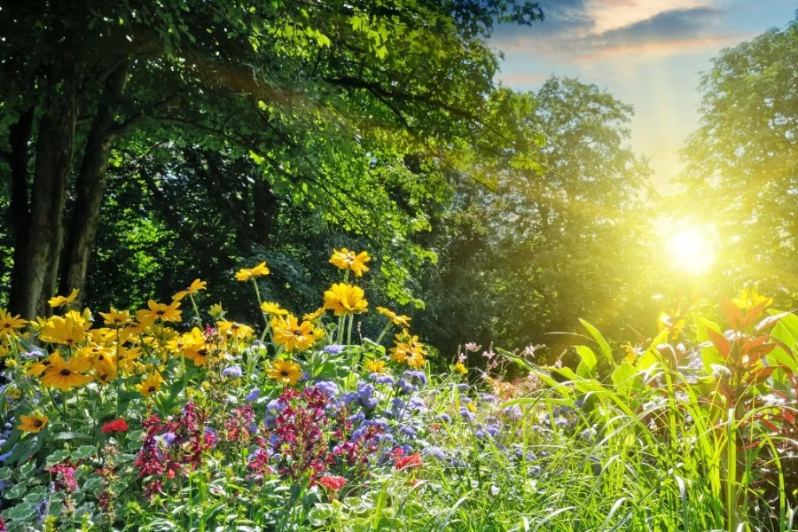 Ladda för sommar i Landskrona