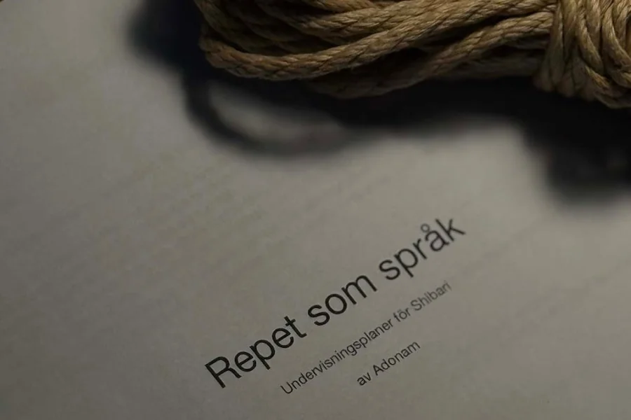 Repet som språk – Nybörjarkurs – 初級 (Shokyū)