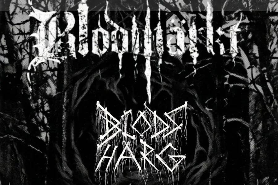 Belsepub: Blodmärkt & Blodsharg